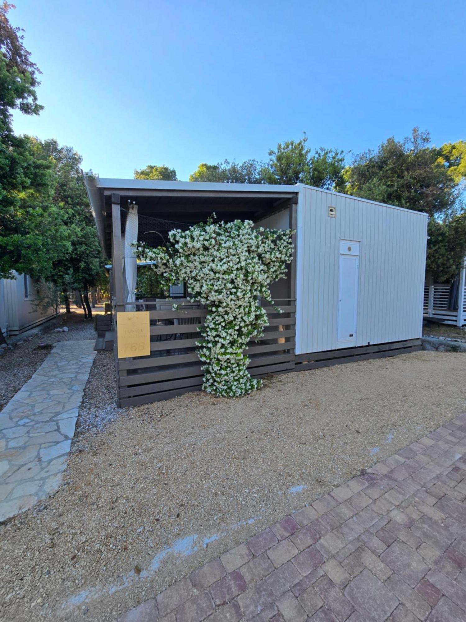 Holiday Homes Lavanda - Biograd Na Moru Exterior foto